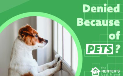 Can I Be Denied Because of My Pets?