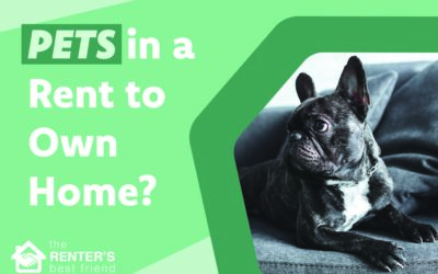 Are Pets Allowed in a Rent to Own Home?