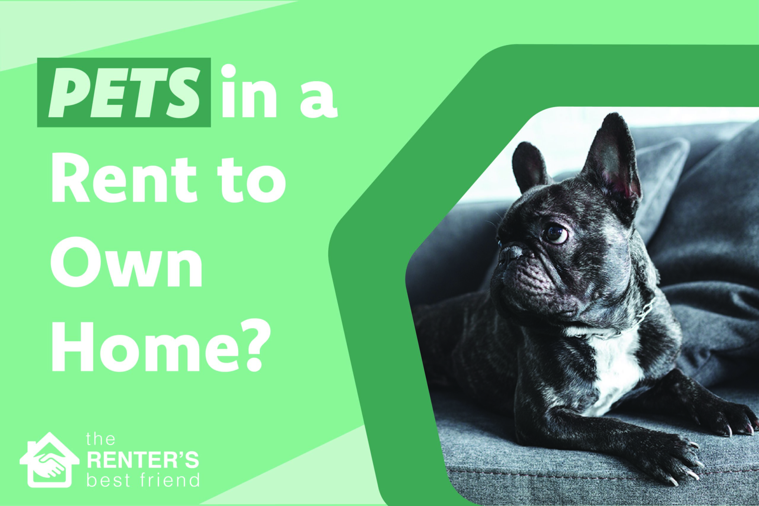 Pets in a rent to own home